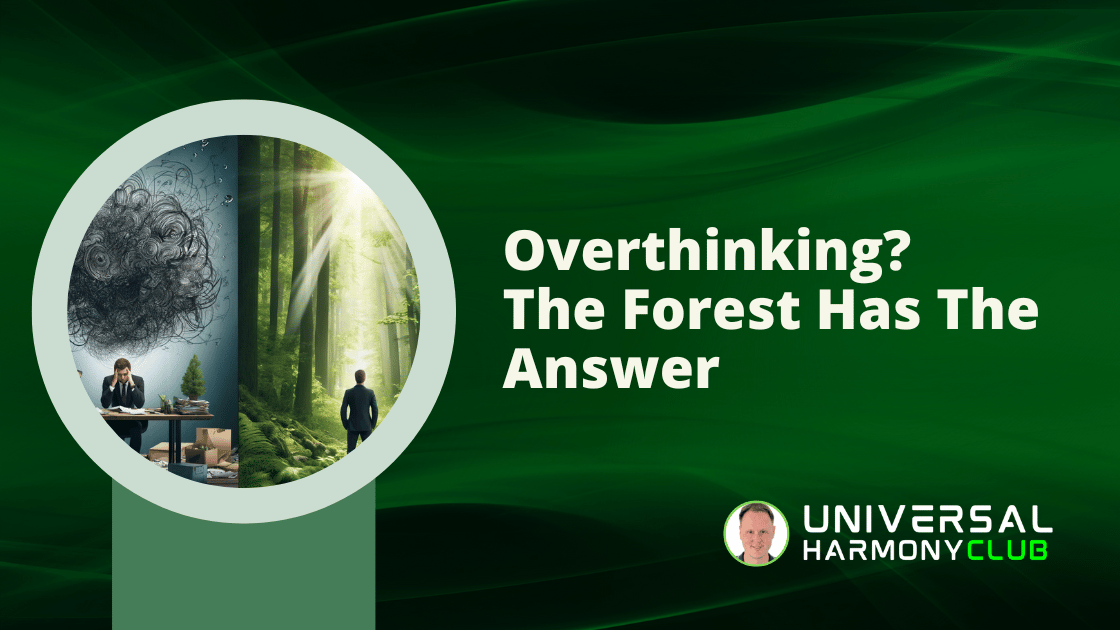 Overthinking? The Forest Has the Answer